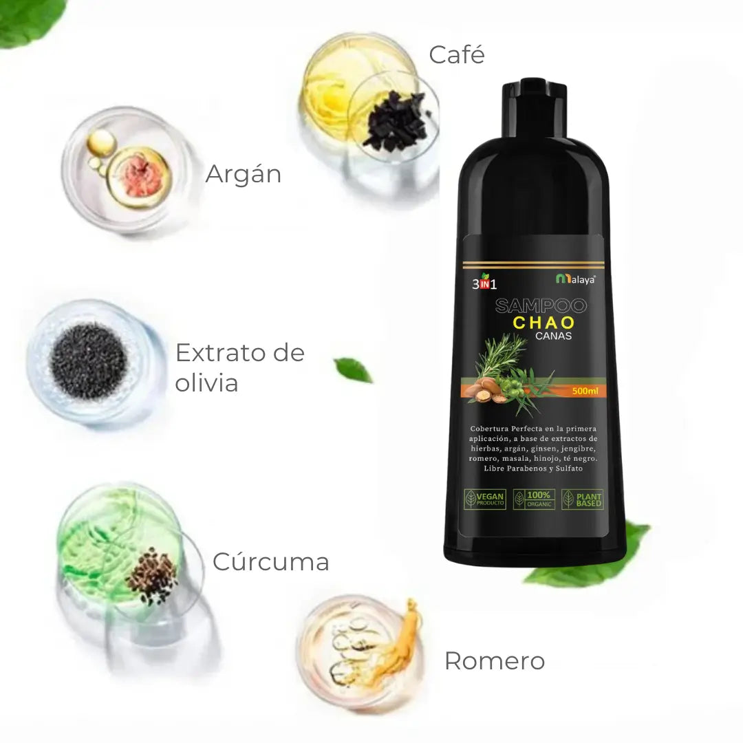 SHAMPOO CHAO CANAS 3 en 1 + TRATAMIENTO